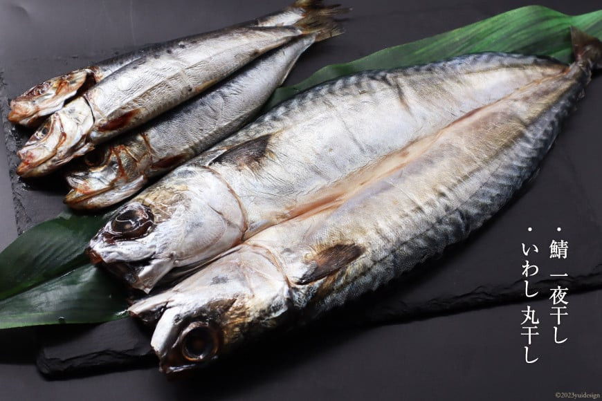 三陸焼物セットB 5種 金目鯛 一夜干し & 鯖 塩麹漬 & めかじき 味噌漬 & いわし 丸干し & さば 一夜干し [ひまわり食品 宮城県 気仙沼市 20565490] 魚 魚介類 干物 漬魚 切り身 惣菜 詰め合わせ 冷凍