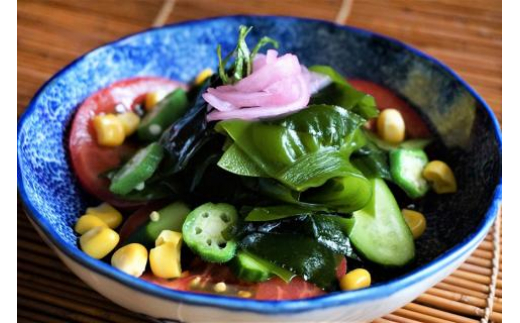 【2つの食感】 三陸産 サラダわかめ 170g ×3袋 [小野徳 宮城県 気仙沼市 20565558] 海藻 ワカメ わかめ 若布 塩蔵わかめ 塩蔵 コリコリ シャキシャキ 冷蔵