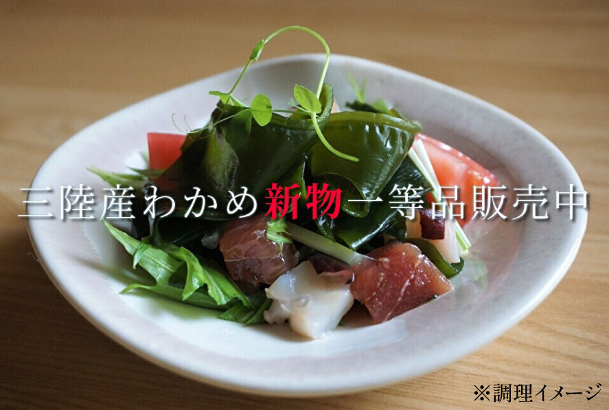 【肉厚1等品】 三陸産 シャッキリわかめ 200g ×3袋 [小野徳 宮城県 気仙沼市 20565560] 海藻 ワカメ わかめ 若布 塩蔵わかめ 塩蔵 肉厚 1等品 冷蔵