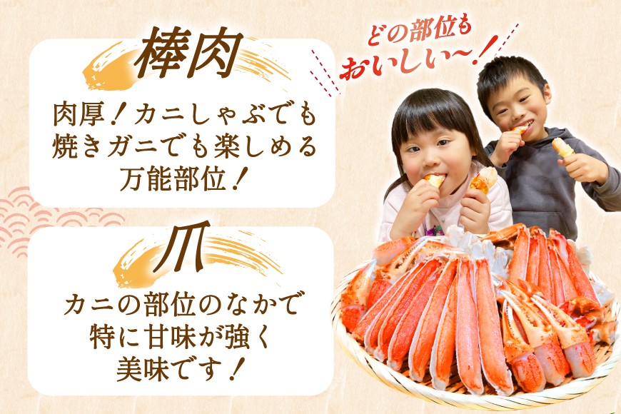 【2025 年内配送】 カット済 生 ずわいがに むき身 セット 総重量 750g (正味重量600g) 2-3Lサイズ [カネダイ 宮城県 気仙沼市 20565652] 750g