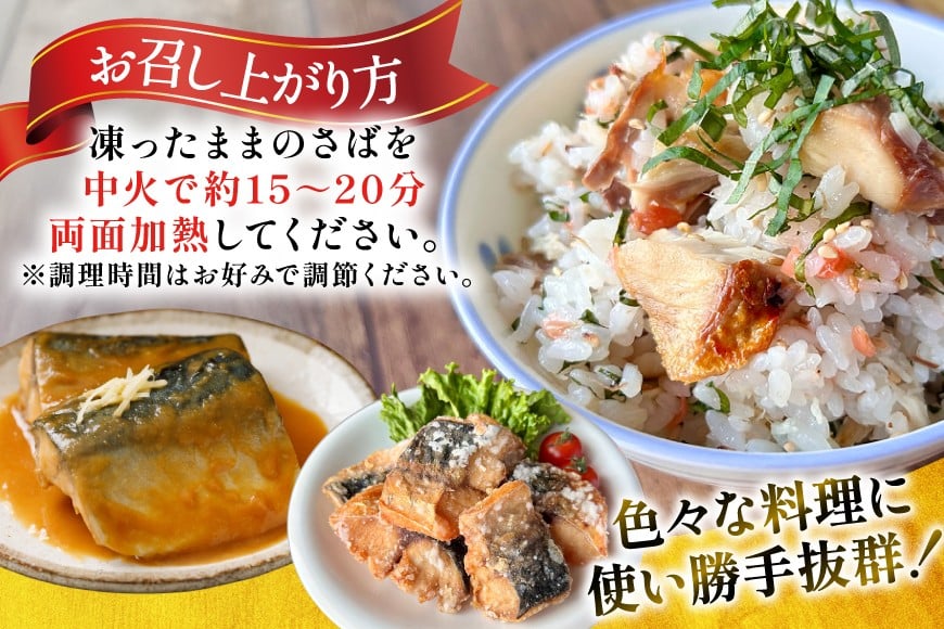 訳あり 骨取り トロ さば 切身 無添加 計3kg (500g×6p) 小分け 無塩[足利本店 宮城県 気仙沼市 20565813] さば 訳アリ 骨取 サバ 鯖 わけあり 鯖 トロサバ トロさば トロサバ