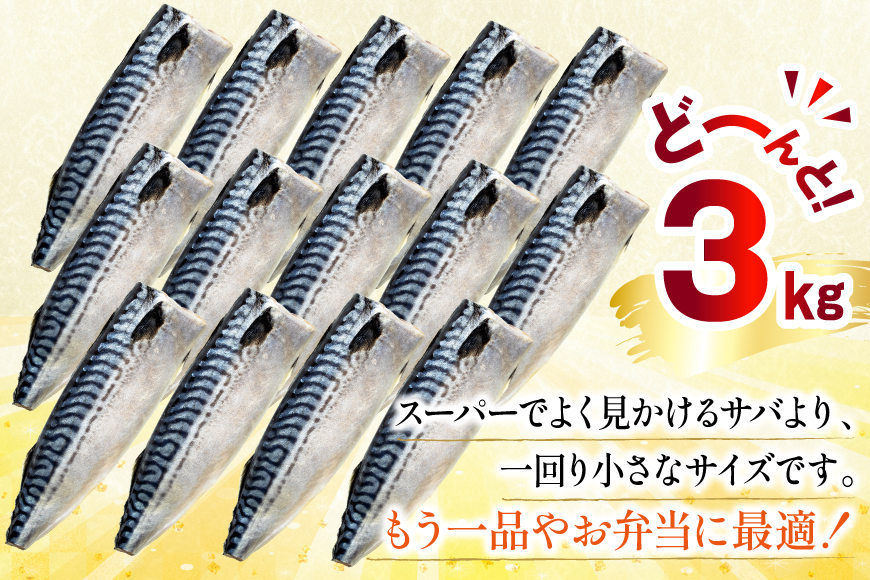 訳あり 減塩 無添加 トロ塩サバ フィレ Sサイズ 総重量 3kg [足利本店 宮城県 気仙沼市 20565959] 魚介類 魚 大容量 サバ さば 鯖 トロサバ トロさば とろサバ 塩分控えめ 切り身 冷凍 訳アリ