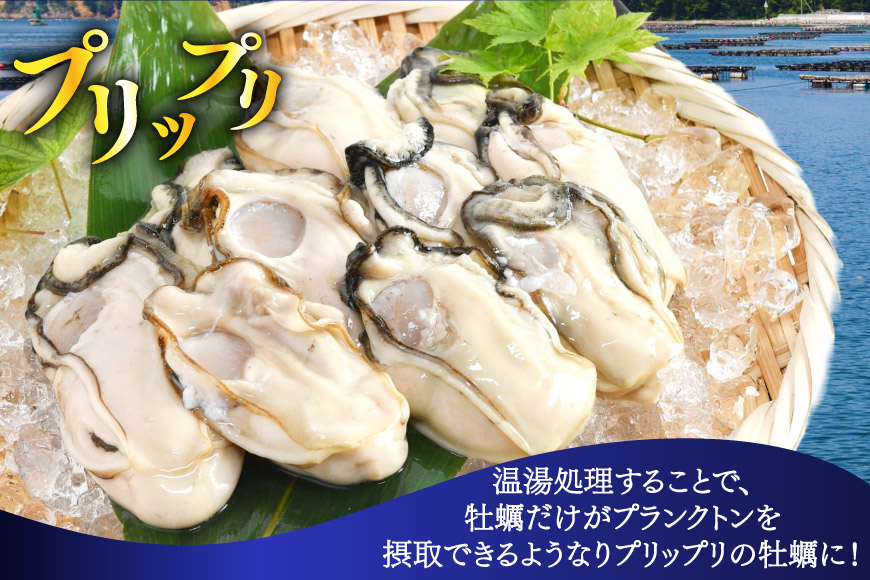 【期間限定発送】 ヤマヨ水産の牡蠣 加熱用 500g 《5月前半～出荷》 [気仙沼市物産振興協会 宮城県 気仙沼市 20565983] 魚介類 海鮮 牡蠣 春 かき 春牡蠣 春かき 期間限定 冷蔵 加熱