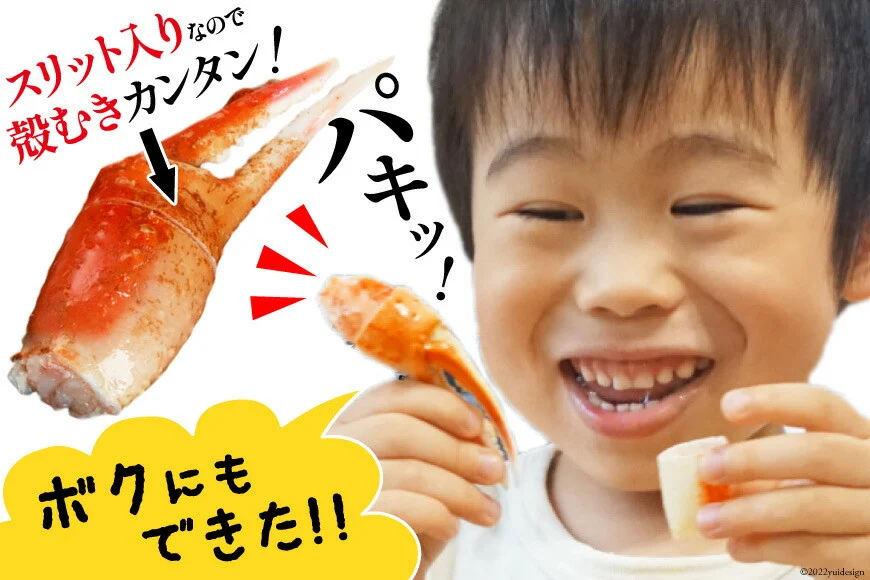 リピーター続出！ 本ずわいがに爪 約700g [カネダイ 宮城県 気仙沼市 20564321] 蟹 かに カニ ずわいがに ズワイガニ ずわい蟹 ズワイ蟹 ずわい ズワイ 蟹 カニ爪 蟹爪 カニ爪肉 つめ 爪 ボイル