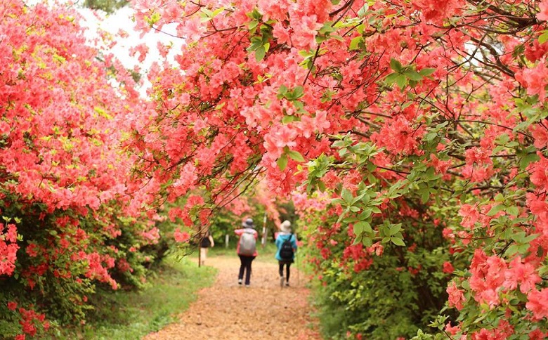 宮城県気仙沼市ANAトラベラーズダイナミックパッケージ割引クーポン30,000点分