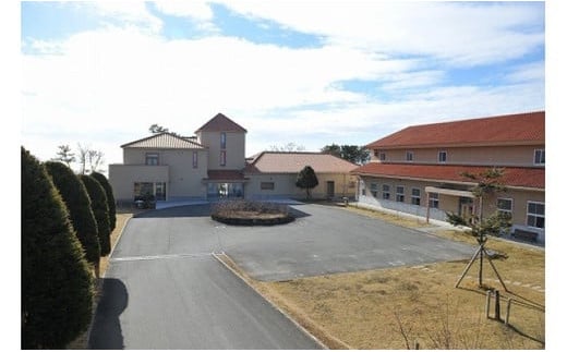 コラーゲン3900mg ふかひれラーメンと姿煮のセットＡ [中華高橋水産 宮城県 気仙沼市 20563465] 鱶鰭 ふかひれ フカヒレ 姿煮 ラーメン ふかひれラーメン コラーゲン 中華 高級 豪華 詰め合わせ