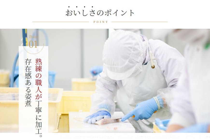 姿煮羅亜麺5食入 [石渡商店 宮城県 気仙沼市 20563886] フカヒレ ふかひれ