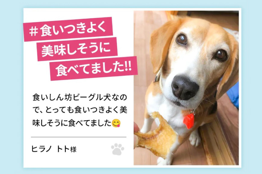 UMINO PET サメ肉ジャーキー 40g×5個 [石渡商店 宮城県 気仙沼市 20563954] ペットフード ドッグフード 犬 いぬ 犬用 ペット おやつ オヤツ 国産 ジャーキー 気仙沼産 サメ 鮫