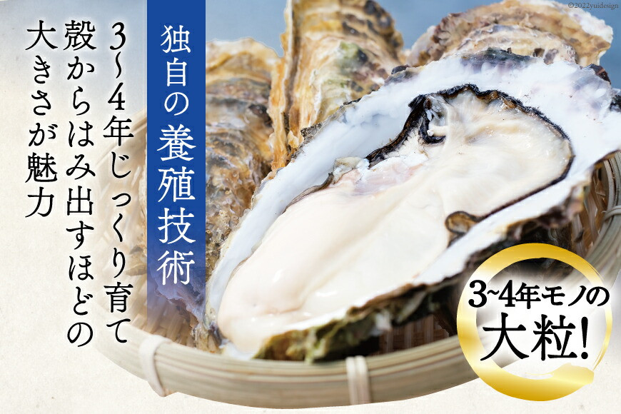 【期間限定発送】 TVで紹介！ 牡蠣 大粒 3～4年モノ 生食 殻付き牡蠣 約3kg(約9-12個入) [住喜水産 宮城県 気仙沼市 20564160] 期間限定 冷蔵 新鮮 濃厚 真牡蠣 カキ かき 生牡蠣 魚貝類 生牡蠣 貝 海鮮 魚介類 なべ カキフライ 牡蠣ご飯 魚介
