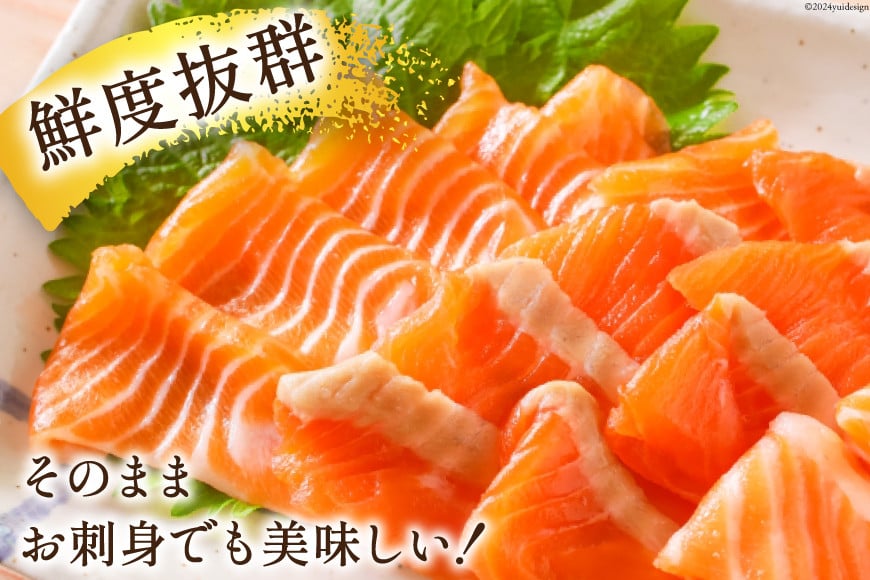 訳あり サーモン 切り落とし 刺身 1kg [足利本店 宮城県 気仙沼市 20564313] 小分け 鮭 スライス