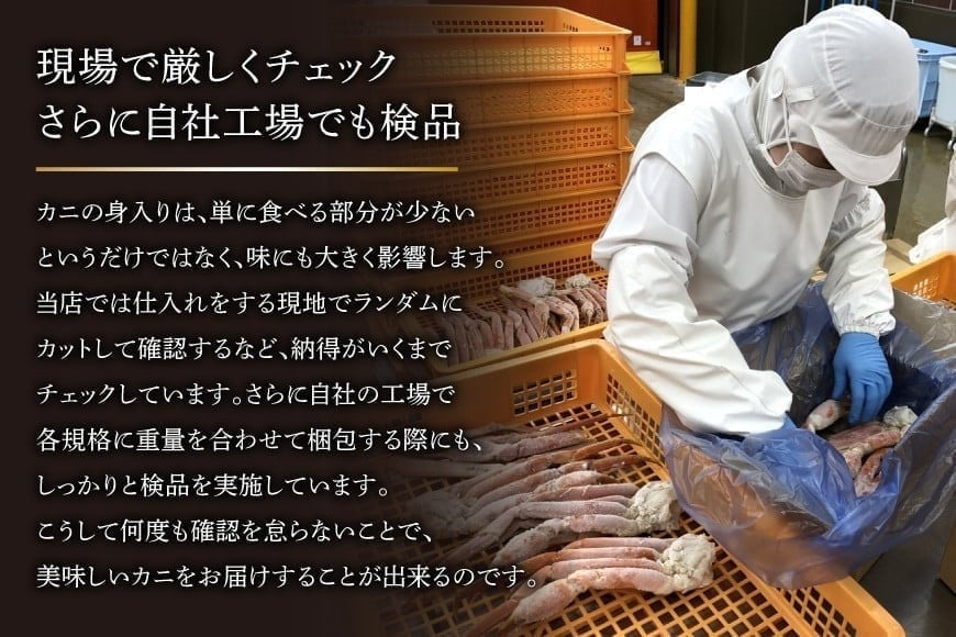 【2025 年内配送】 ボイル済み 本ずわいがに 脚 3L～4L 総重量 2kg [カネダイ 宮城県 気仙沼市 20564764]