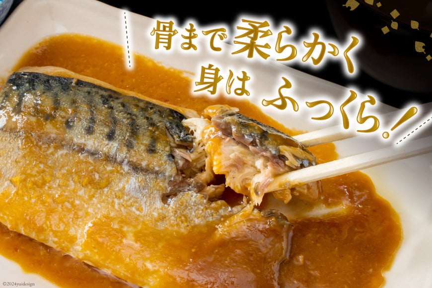 国産 さば 味噌煮 120g×10パック [阿部長商店 宮城県 気仙沼市 20564777] 個包装 真空パック 鯖 サバ さば 味噌煮 惣菜 魚 加工品 切り身 さばみそ サバ味噌 簡単 簡単調理 温めるだけ 冷凍