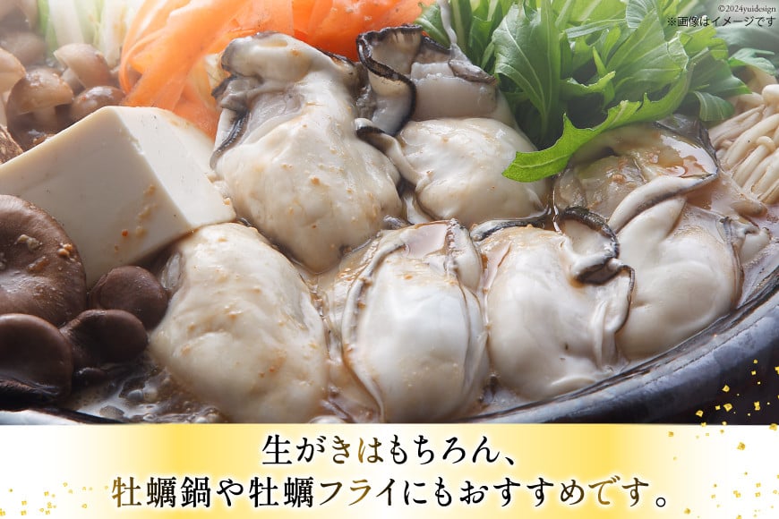 【期間限定発送】 牡蠣 計1kg (約26‐44個入) 500g×2p むき身 生食用 [住喜水産 宮城県 気仙沼市 20564824] 期間限定 冷蔵 新鮮 濃厚 真牡蠣 カキ かき 生牡蠣 魚貝類 生牡蠣 貝 海鮮 魚介類 なべ カキフライ 牡蠣ご飯 魚介