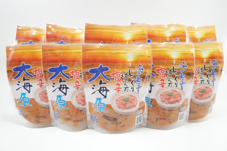 海の恵みをじっくり仕込んだ塩辛 大海原 300g 10個セット [小野万 宮城県 気仙沼市 20565161] 魚介類 いか イカ 塩辛 いか塩辛 イカ塩辛 冷蔵 酒の肴 おつまみ ご飯のお供