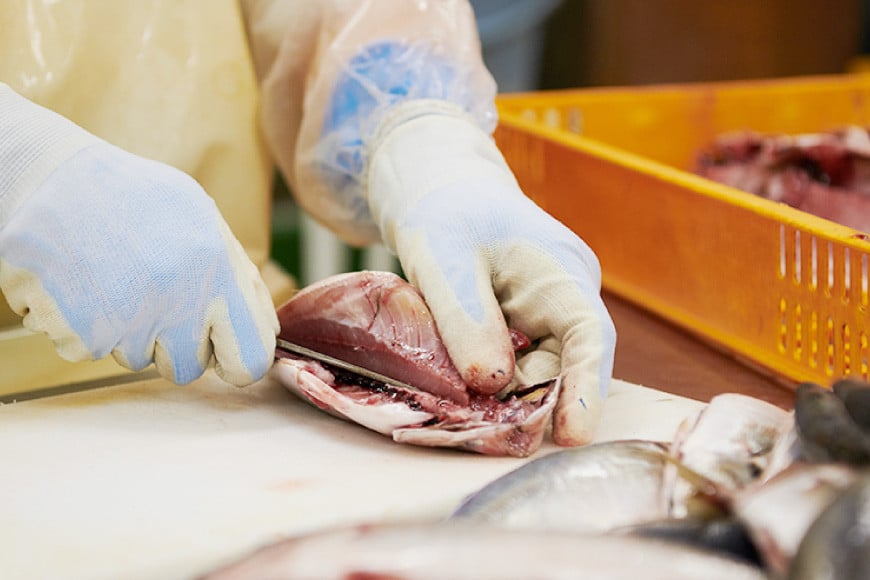 干物 切れてる便利な一夜干し 3種10枚 [気仙沼市物産振興協会 宮城県 気仙沼市 20565256] 詰め合わせ ひもの 冷凍