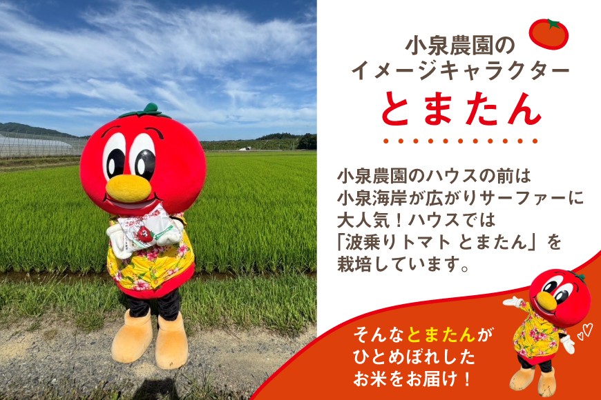 米 令和7年産 宮城県産 とまたんのひとめぼれ 5kg [サンフレッシュ小泉農園 宮城県 気仙沼市 20565646] 5㎏