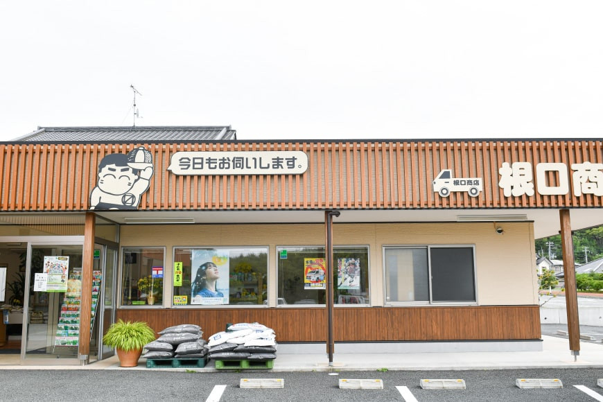 宮城のおこめ 食べくらべセット ひとめぼれ & ササニシキ 各 5kg 総計 10kg [根口商店 宮城県 気仙沼市 20565766] 米 お米 白米 精米 三陸産 宮城県産 ブランド米 ご飯 ごはん コメ こめ 小分け