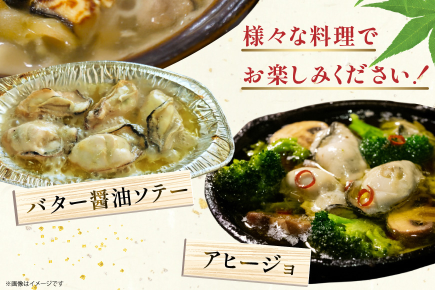 【期間限定発送】 訳あり 牡蠣 むき身 【加熱用】 500g×2p 計1kg (約50-80個入) [住喜水産 宮城県 気仙沼市 20565802] 冷蔵 新鮮 濃厚 真牡蠣 カキ かき 魚貝類 貝 海鮮 魚介類 なべ カキフライ 牡蠣ご飯 魚介