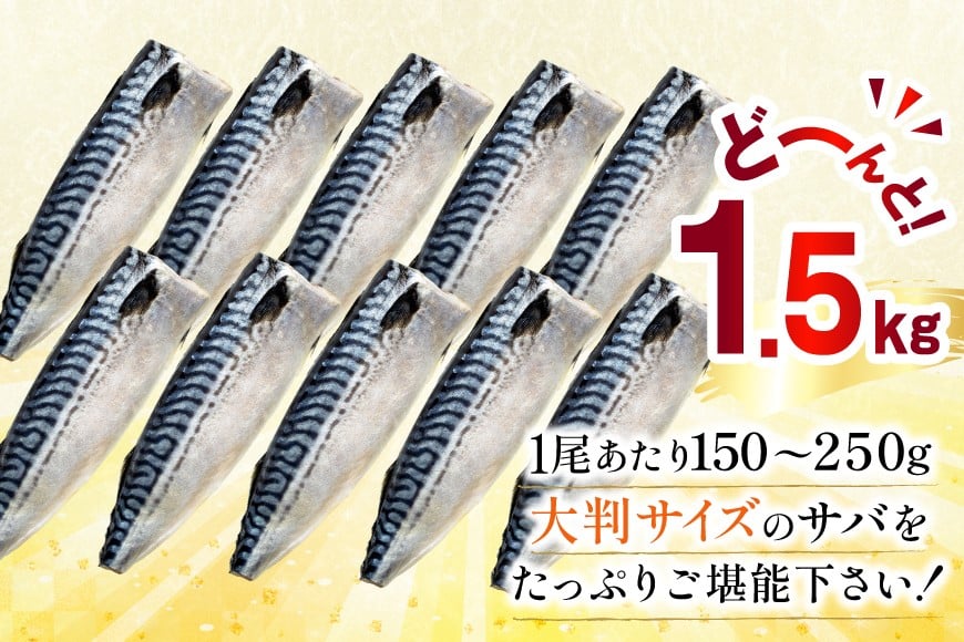 訳あり 塩サバ フィレ 1.5kg [足利本店 宮城県 気仙沼市 20565942] 魚介類 魚 海鮮 大容量 サバ さば 鯖 サバフィレ サバフィーレ 鯖フィレ 切り身 冷凍 訳アリ 訳あり わけあり トロサバ 減塩 とろさば