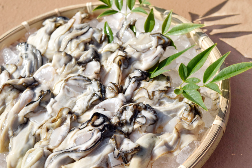 むき身 地秀かき 生食用 500g×1袋 [かみたいら 宮城県 気仙沼市 20565947] カキ 牡蠣 かき 生食 剥き身 オイスター 冷蔵