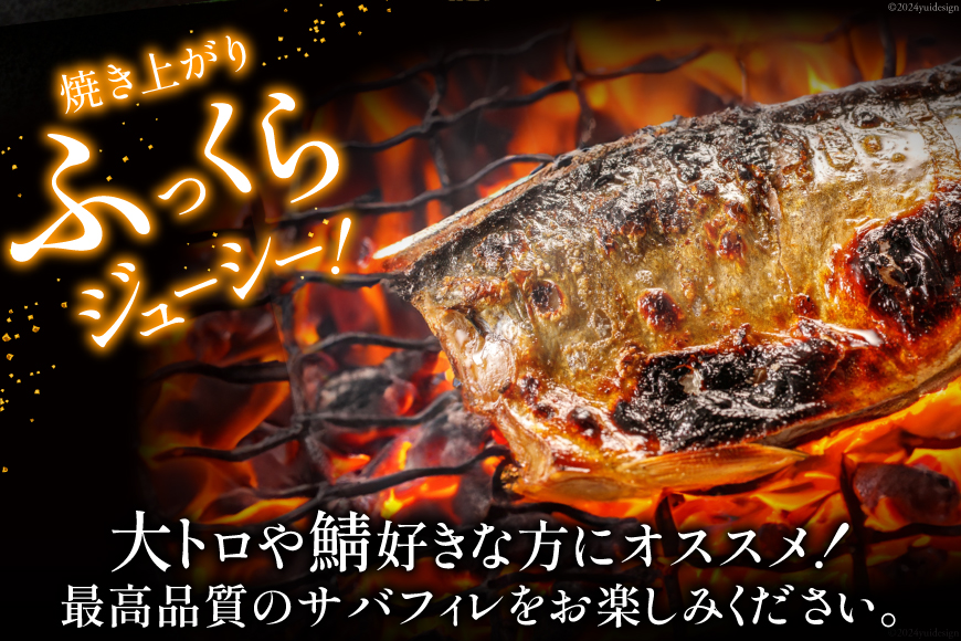 訳あり 塩サバ フィレ 3kg [足利本店 宮城県 気仙沼市 20564146] 魚介類 魚 海鮮 大容量 サバ さば 鯖 サバフィレ サバフィーレ 鯖フィレ トロサバ 訳アリ 訳あり わけあり 切り身 冷凍