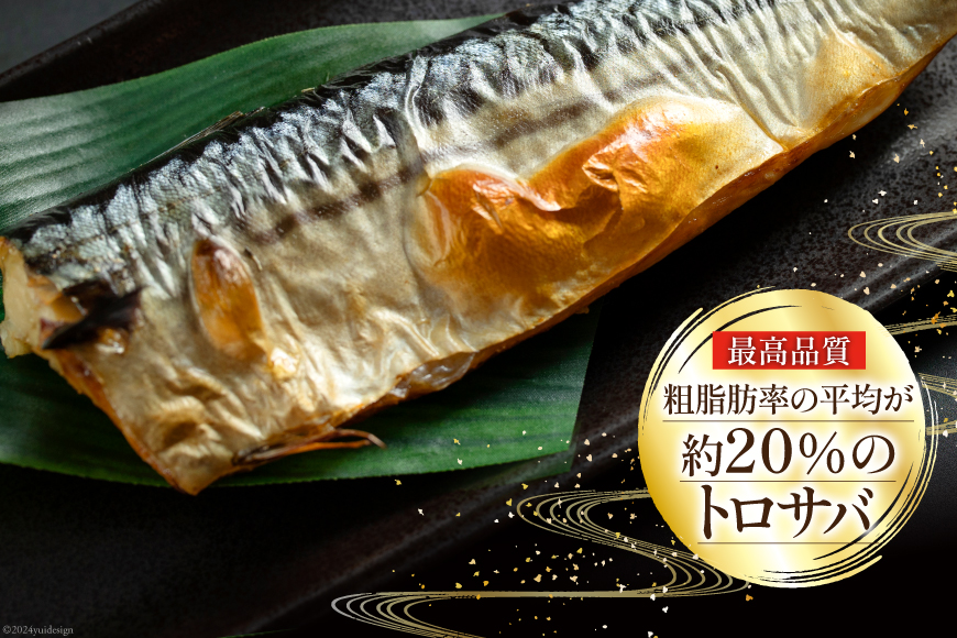 訳あり 塩サバ フィレ 3kg [足利本店 宮城県 気仙沼市 20564146] 魚介類 魚 海鮮 大容量 サバ さば 鯖 サバフィレ サバフィーレ 鯖フィレ トロサバ 訳アリ 訳あり わけあり 切り身 冷凍