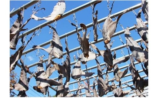 コラーゲン3900mg ふかひれラーメンと姿煮のセットＡ [中華高橋水産 宮城県 気仙沼市 20563465] 鱶鰭 ふかひれ フカヒレ 姿煮 ラーメン ふかひれラーメン コラーゲン 中華 高級 豪華 詰め合わせ