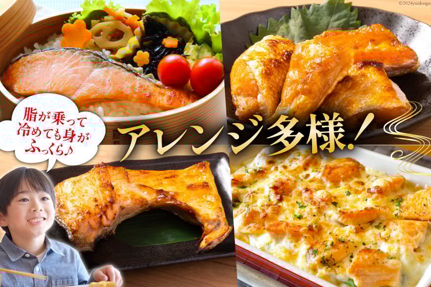 銀鮭 切り身 1kg 8切以上 うす塩 バラ [かわむら家 宮城県 気仙沼市 20565472] 鮭 海鮮 魚介 魚 サケ さけ シャケ サーモン 切身 弁当 おかず 惣菜 チリ銀鮭 低塩 カマ ハラス 訳あり 不揃い 冷凍