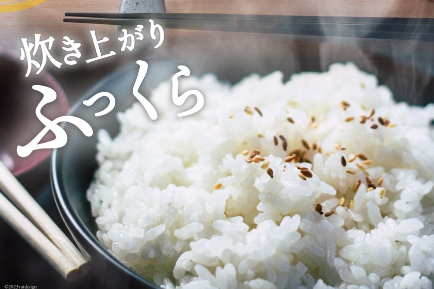 米 宮城県産 ひとめぼれ 10kg (5kg×2袋) [気仙沼米穀商業協同組合 宮城県 気仙沼市 20565763] 一等米 ブランド米 白米 精米 ご飯 ごはん コメ こめ お米 小分け 家庭用