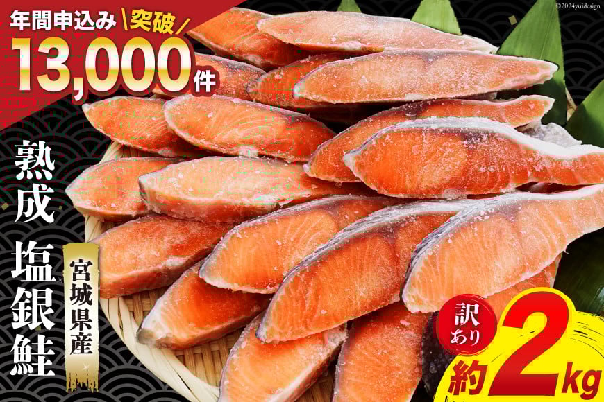 訳あり 宮城県産 熟成 銀鮭 切り身 約2kg [気仙沼市 20563343] 国産 鮭 サケ さけ シャケ 2kg