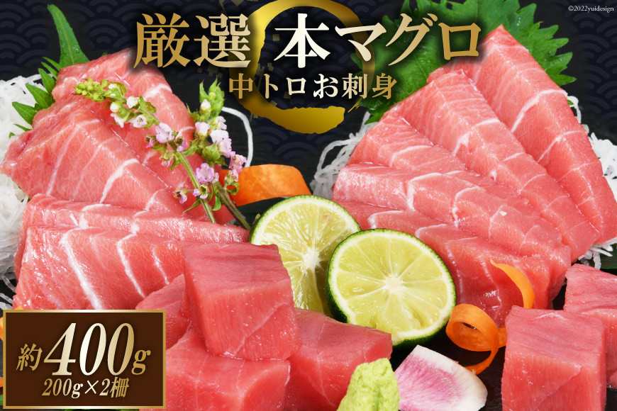 まぐろ 本マグロ背トロ 約400g(200g×2柵) [豊洋海産流通 宮城県 気仙沼市 20563371] 中トロ 刺身 冷凍