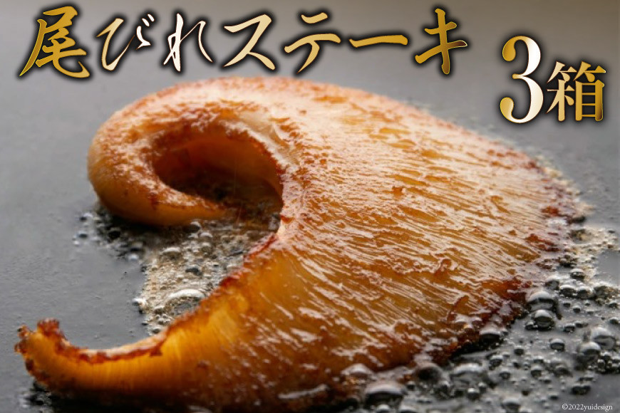 【TVで紹介】ふかひれ ステーキ3箱 [石渡商店 宮城県 気仙沼市 20563459] フカヒレ 鱶鰭 尾びれ