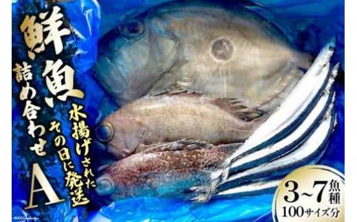 鮮魚 詰め合わせ A 3～7魚種 100サイズ分 [さんりくみらい 宮城県 気仙沼市 20563531] 産地直送 旬 魚介 魚 さかな