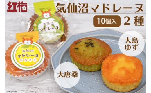 【和菓子職人が作る】気仙沼マドレーヌ 2種10個 [菓匠 紅梅 宮城県 気仙沼市 20563591] 菓子 お菓子 おやつ マドレーヌ ゆず 小分け 常温