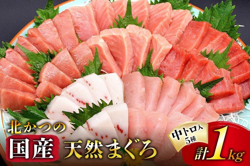 北かつのマグロ 中トロセット [北かつ商事 宮城県 気仙沼市 20563599] 魚 刺身 柵 鮪 まぐろ マグロ 本マグロ 南マグロ 中トロ メカジキ メバチ めばち ビンチョウ 冷凍 魚介類 魚介 新鮮 高級