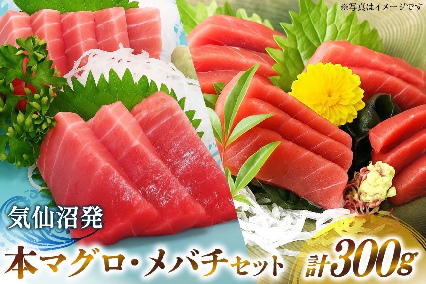 本マグロ・メバチセット [川印　村田漁業 宮城県 気仙沼市 20563739]魚 海鮮 魚介 まぐろ 鮪 メバチマグロ 刺身 本マグロ