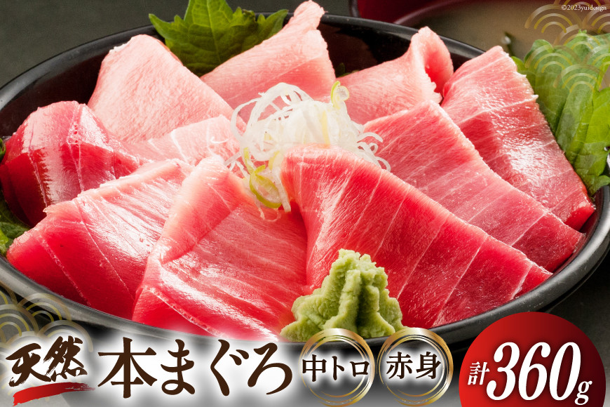 昭福丸の天然本まぐろ (中トロ･赤身) 各180g 計360g [臼福本店 宮城県 気仙沼市 20563782] 魚 鮮魚 刺身 トロ 天然本マグロ マグロ まぐろ 鮪 本まぐろ 本マグロ 本鮪 冷凍