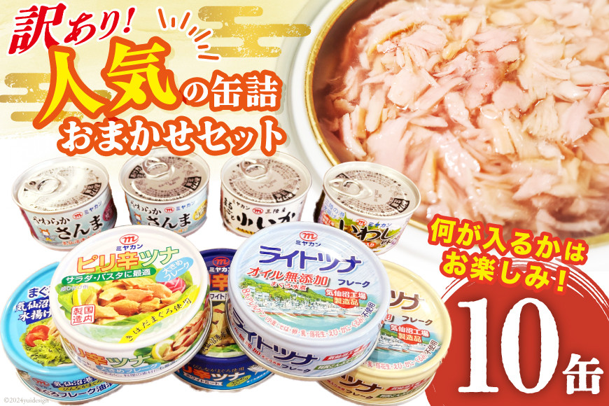 訳あり お任せ 缶詰 人気10缶セット [ミヤカン 宮城県 気仙沼市 20563805] ツナ缶 さば缶 さんま缶 いか缶 いわし缶 詰め合わせ おかず 小分け 常備 ストック 長期保存