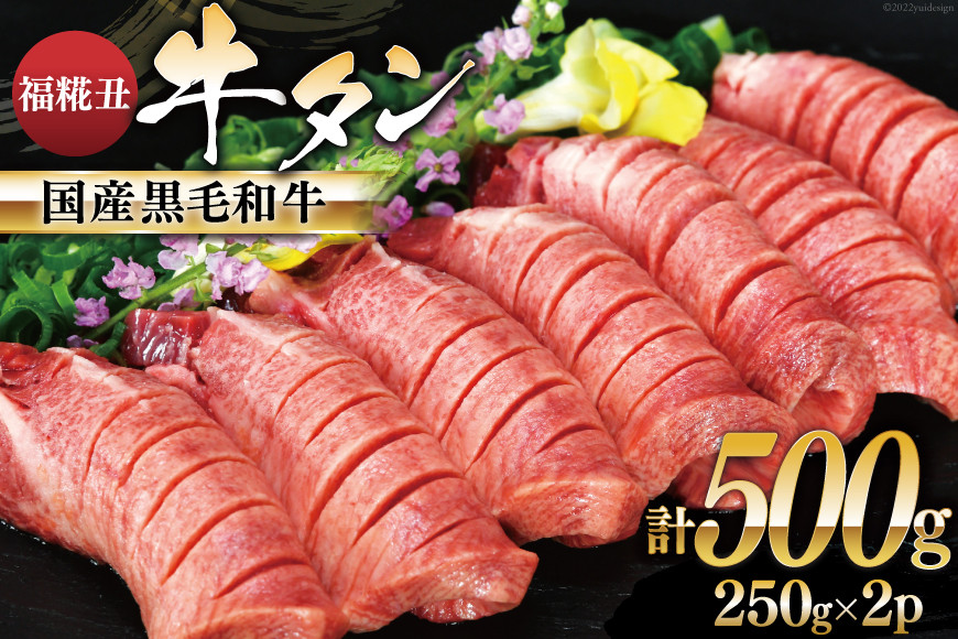 牛タン 国産黒毛和牛 「福糀丑(ふっこううし)」計500g(250g×2p) [アーバン 宮城県 気仙沼市 20563831]