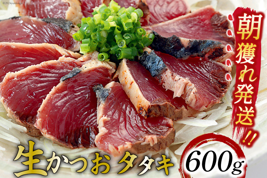 朝獲れ 産地直送 冷蔵便 生かつおタタキ 600g（2～3筋） タレ付 真空パック [阿部長商店 宮城県 気仙沼市 20564103] 冷蔵 鮮魚 魚 かつお カツオ 鰹 刺身 冷蔵 季節限定 カツオタタキ かつおタタキ 600g
