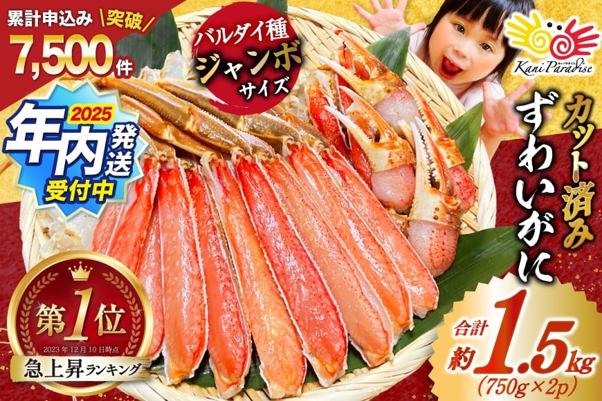 【2025 年内配送】 カット済 ずわいがに むき身セット 総重量1.5kg(750g×2p) かにしゃぶ かに鍋 正味重量1.2kg [カネダイ 宮城県 気仙沼市 20564319] かに カニ ずわいがに ずわい 蟹 棒 魚介 海鮮 ポーション