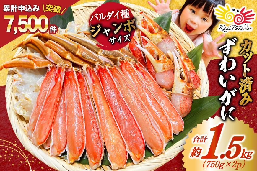 カット済ずわい かに むき身セット 総重量1.5kg(750g×2p) かにしゃぶ かに鍋 正味重量1.2kg [カネダイ 宮城県 気仙沼市 20564319]