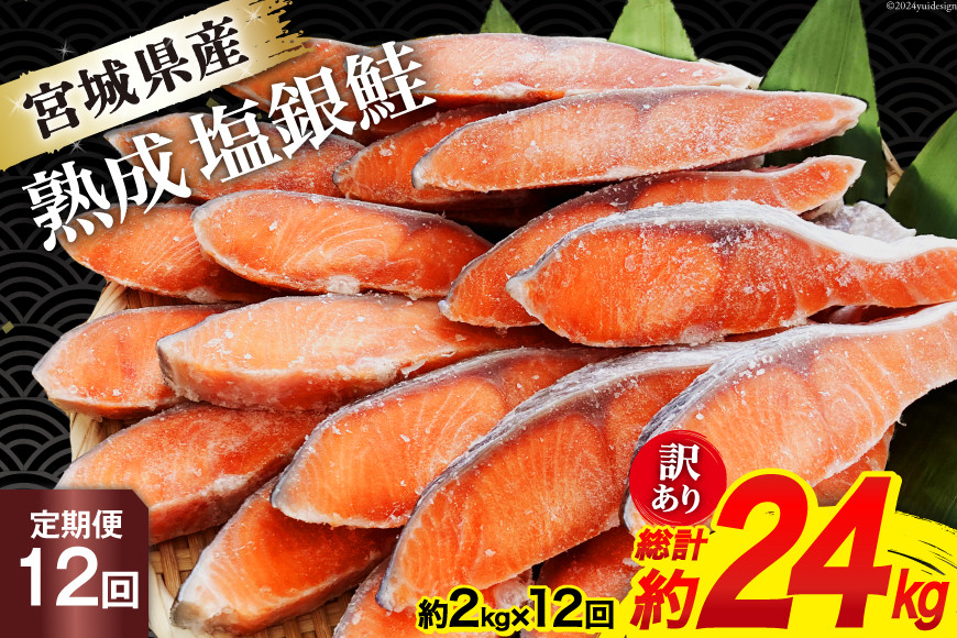 定期便 《12ヶ月連続お届け》 訳あり 宮城県産 熟成 銀鮭 切身 約2kg×12回 計24kg [宮城東洋 宮城県 気仙沼市 20564498] 定期便12回（2kg×12回）