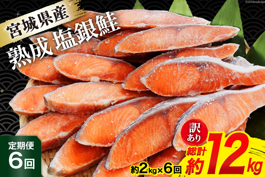定期便 《6ヶ月連続お届け》 訳あり 宮城県産 熟成 銀鮭 切身 約2kg×6回 計12kg [宮城東洋 宮城県 気仙沼市 20564499] 定期便6回（2kg×6回）