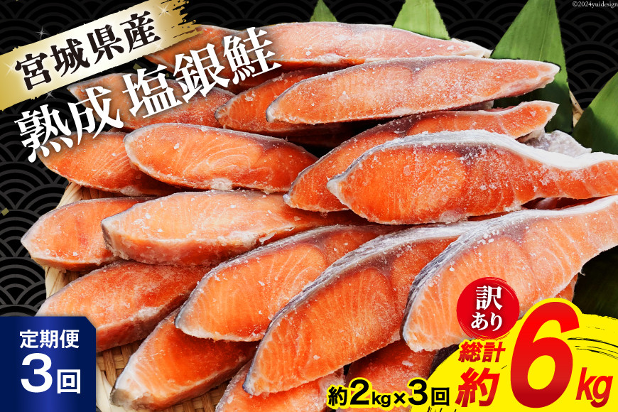 定期便 《3ヶ月連続お届け》 訳あり 宮城県産 熟成 銀鮭 切身 約2kg×3回 計6kg [宮城東洋 宮城県 気仙沼市 20564500] 魚 鮭 海鮮 国産 さけ 鮭 甘口 サケ 鮭切身 シャケ 切り身 冷凍 おかず 弁当 支援 事業者支援 サーモン 定期便3回（2kg×3回）