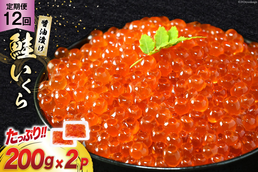 定期便 《12ヶ月連続お届け》鮭 いくら 醤油漬け (200g×2p)×12回 [宮城東洋 宮城県 気仙沼市 20564503] 魚介 イクラ さけ サケ 鮭 冷凍 小分け 醤油 鮭卵 鮭いくら 定期便12回（400g×12回）