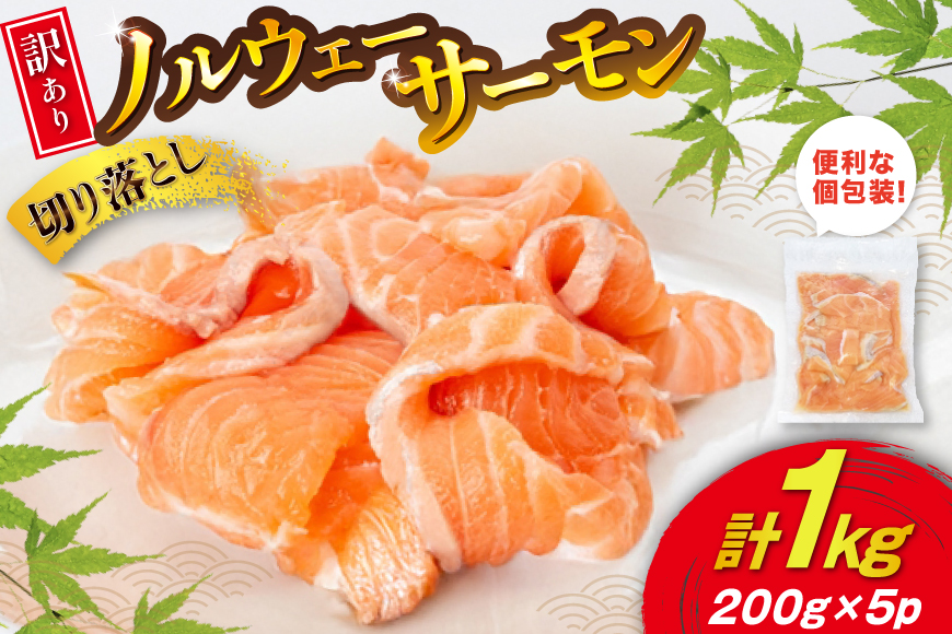 訳あり 無添加 ノルウェー産 アトランティックサーモン 切り落とし おさしみ用 1kg 200g ×5p [足利本店 宮城県 気仙沼市 20565179] サーモン さけ サケ 魚介類 鮭 尾っぽ はしっこ お刺し身 刺し身 刺身 個包装 海鮮 魚介 魚 小分け 冷凍 真空包装 ノルウェー