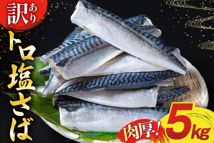訳あり 塩サバ フィレ 5kg [足利本店 宮城県 気仙沼市 20565496] 魚介類 魚 海鮮 大容量 サバ さば 鯖 サバフィレ サバフィーレ 鯖フィレ 切り身 冷凍 訳アリ わけあり トロサバ 減塩 とろさば