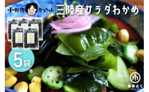 【2つの食感】 三陸産 サラダわかめ 170g ×5袋 [小野徳 宮城県 気仙沼市 20565557] 海藻 ワカメ わかめ 若布 塩蔵わかめ 塩蔵 コリコリ シャキシャキ 冷蔵