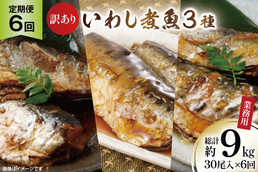 6回 定期便 訳あり 業務用 いわし煮魚 3種 ×10尾 計30尾入 約1.5kg ×6回 総重量 約9kg [カネダイ 宮城県 気仙沼市 20565564] 魚 魚介 煮魚 国産 生姜煮 梅肉煮 みぞれ煮 おかず 焼き魚 簡単 時短 訳アリ 冷凍